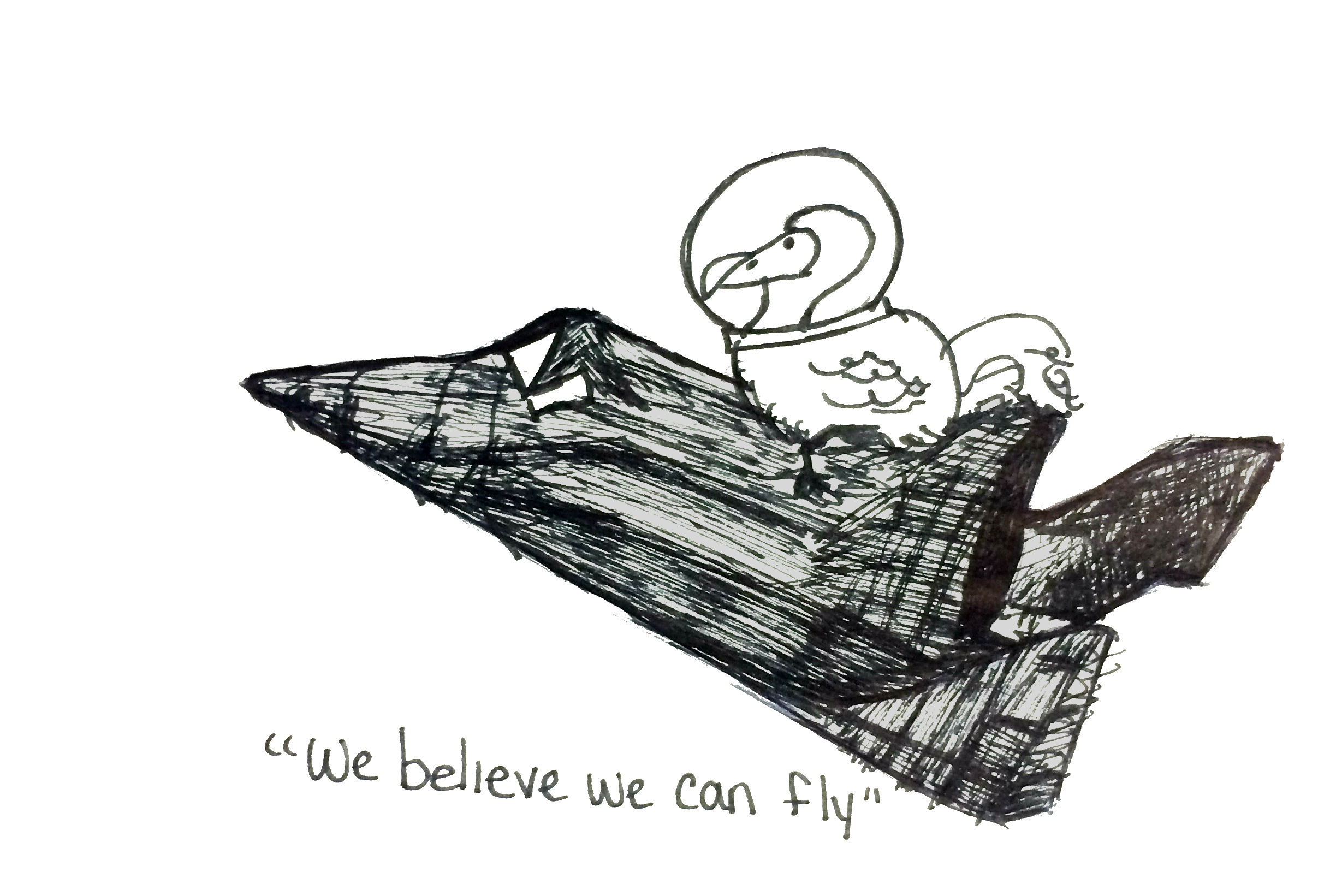 we believe we can fly