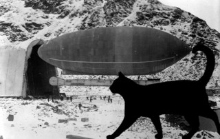 welmman airship kiddo cat